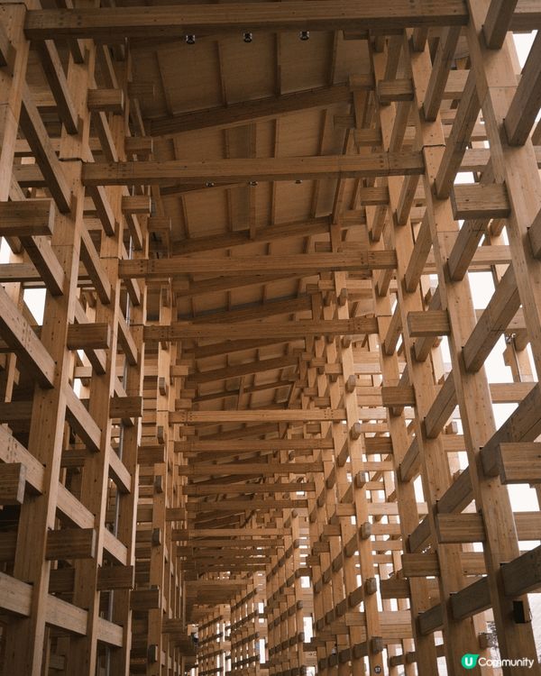 10日之旅由東京的繁華到大阪未來，走訪淺草皮革起源，到銀座感...