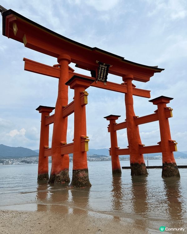 日本廣島嘅嚴島神社，一生之中一定要去一次，但係就唔使去兩次。...