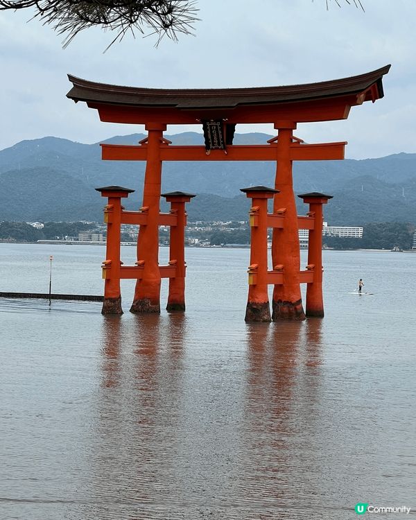 日本廣島嘅嚴島神社，一生之中一定要去一次，但係就唔使去兩次。...