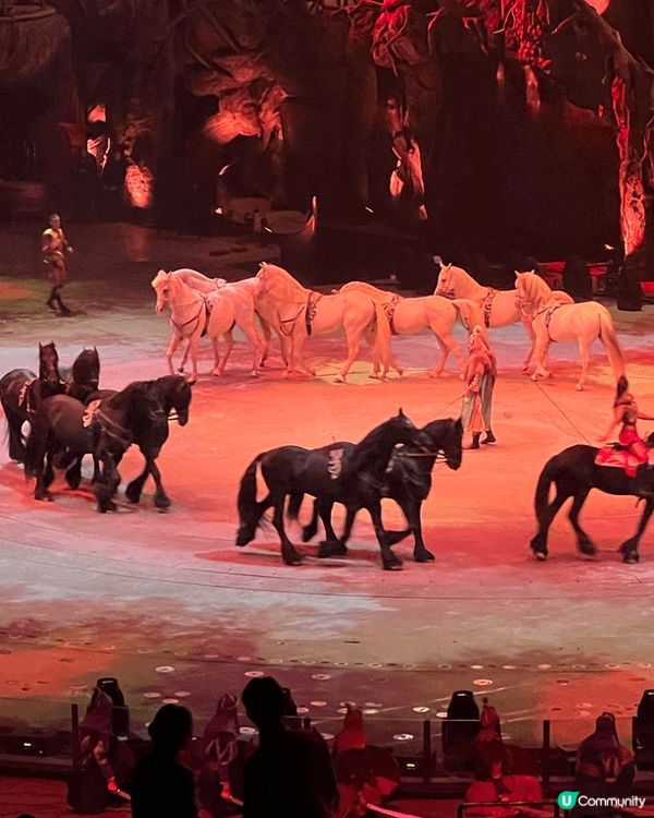 無得睇太陽劇團，睇住長隆頂下癮先！