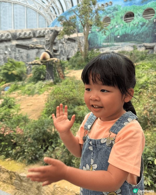 澳門免費睇熊貓，交通仲要好方便，地方大，好多打卡位，仲有其他...