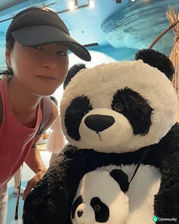 第一張係去咗泰國第一次近距離接馬仔