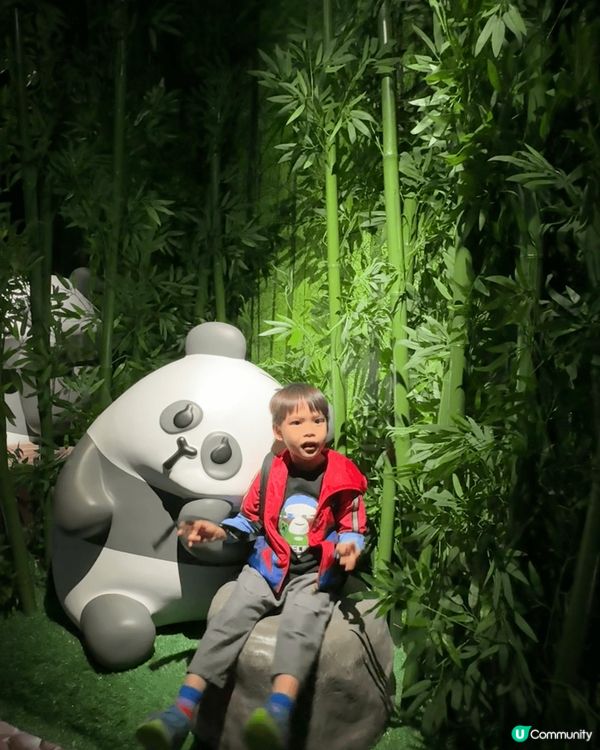 香港海洋公園位於港島南區，最近大家迎接好事歡迎龍鳳胎熊貓誕生...