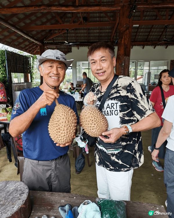 *Duriostay* 是馬來西亞彭亨州勞勿的一家榴槤主題度...