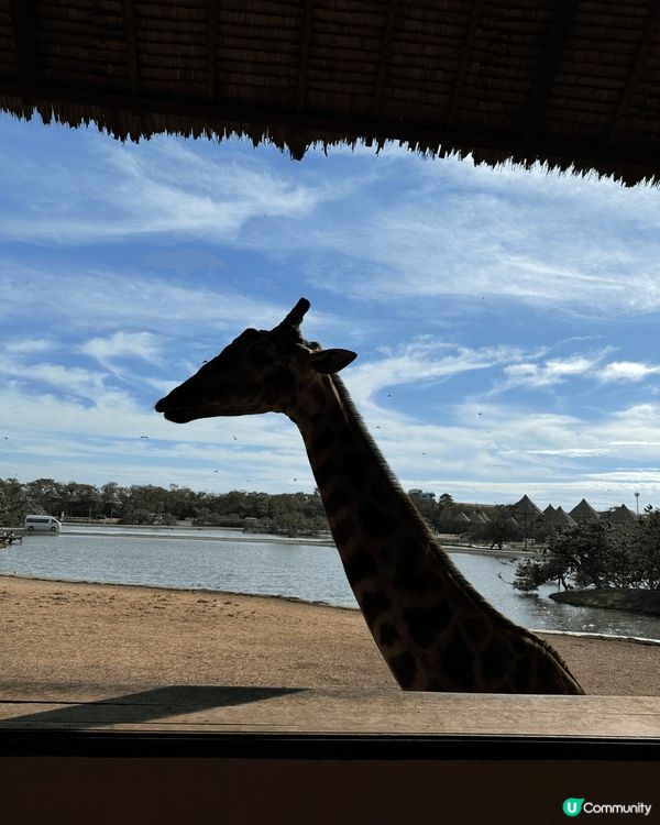 初頭以為小朋友去泰國會冇咩嘢玩，點知去到之後有驚喜，除咗有好...