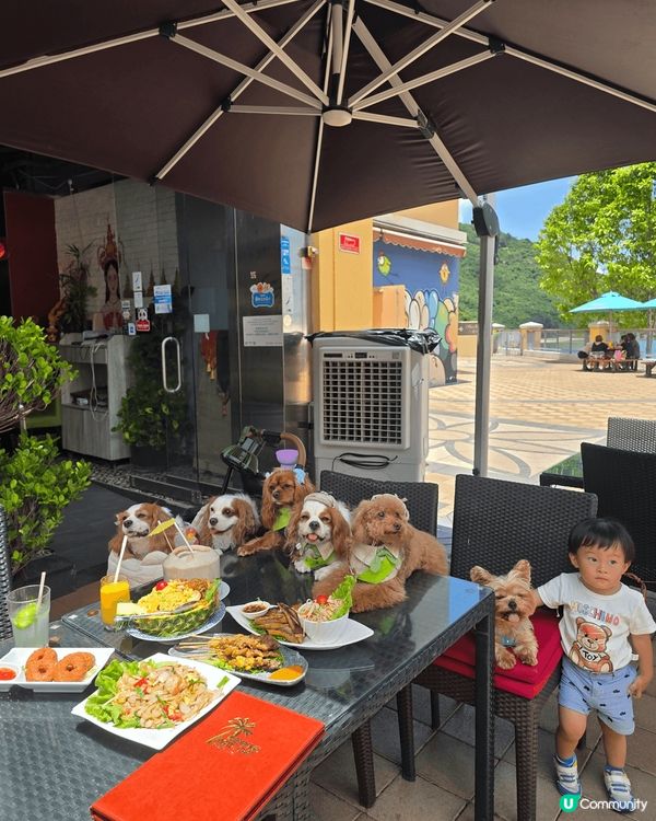 愉景灣寵物巴士