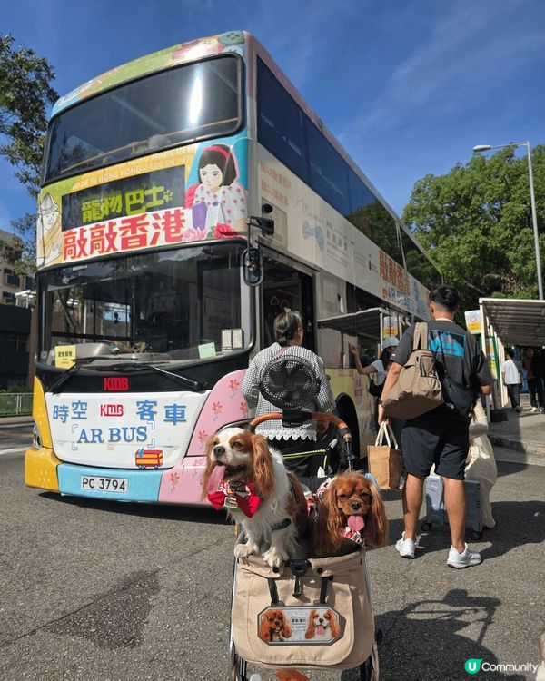愉景灣寵物巴士