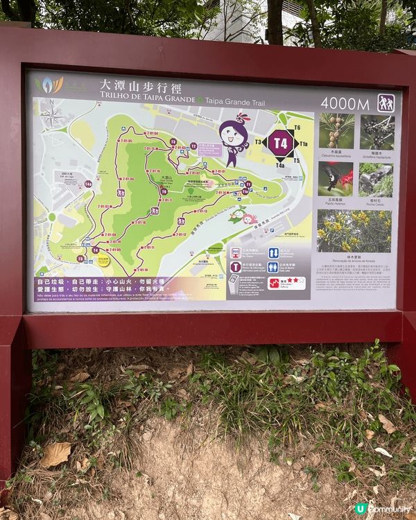 澳門另類遊，大潭山步行徑，可由官也街附近小電梯上，風景迷人！...