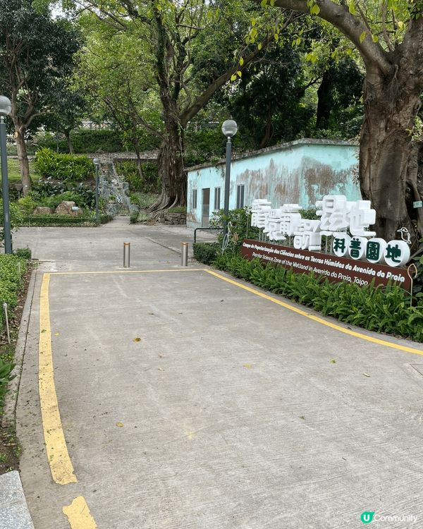 澳門另類遊，大潭山步行徑，可由官也街附近小電梯上，風景迷人！...