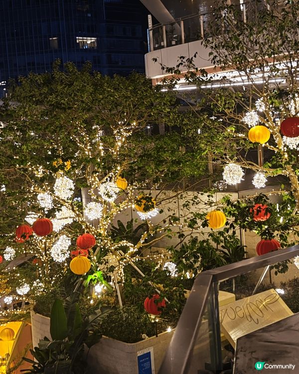 去深圳除咗飲飲食食仲可以玩貓，想去遠少少就可以去福岡繼續飲飲...