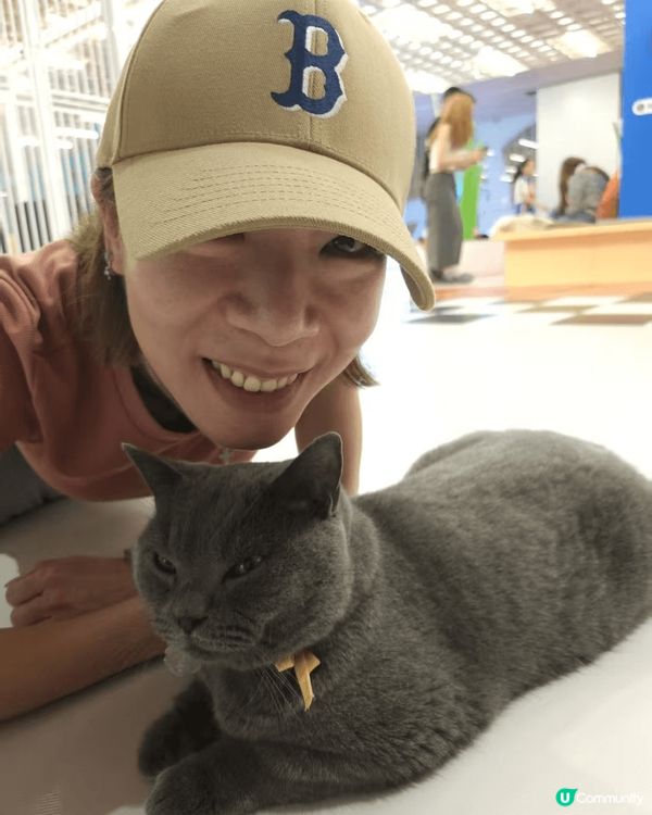 去深圳除咗飲飲食食仲可以玩貓，想去遠少少就可以去福岡繼續飲飲...