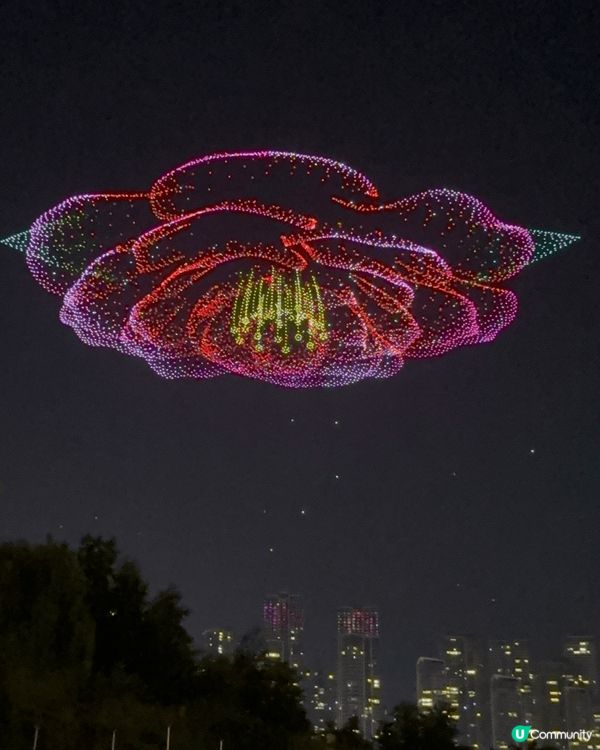 重庆夜景異常夢幻，洪崖洞的週邊都是聞名的打咭聖地，我們還有幸...