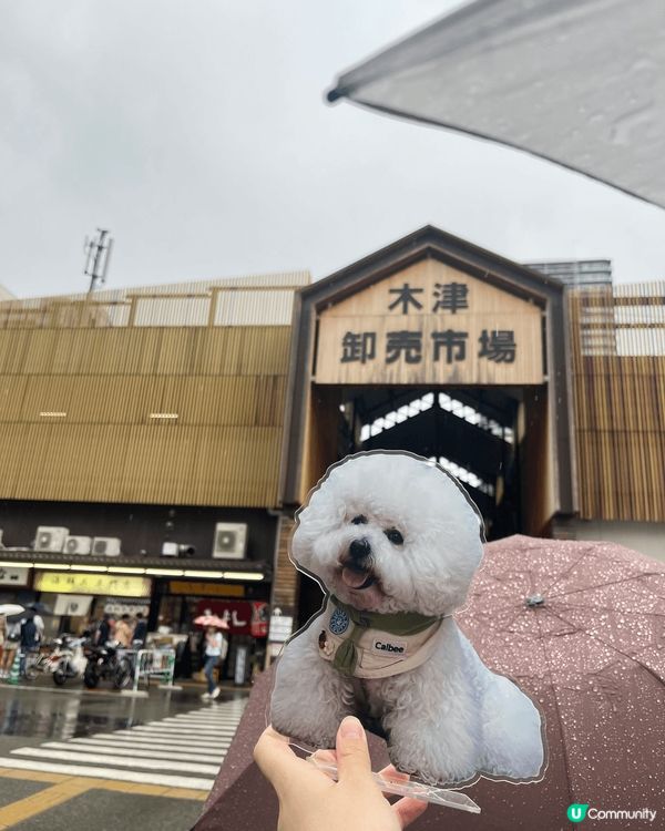 每次嚟底板都必定會去木津市場幫襯呢間海鮮丼專門店，因為真係好...