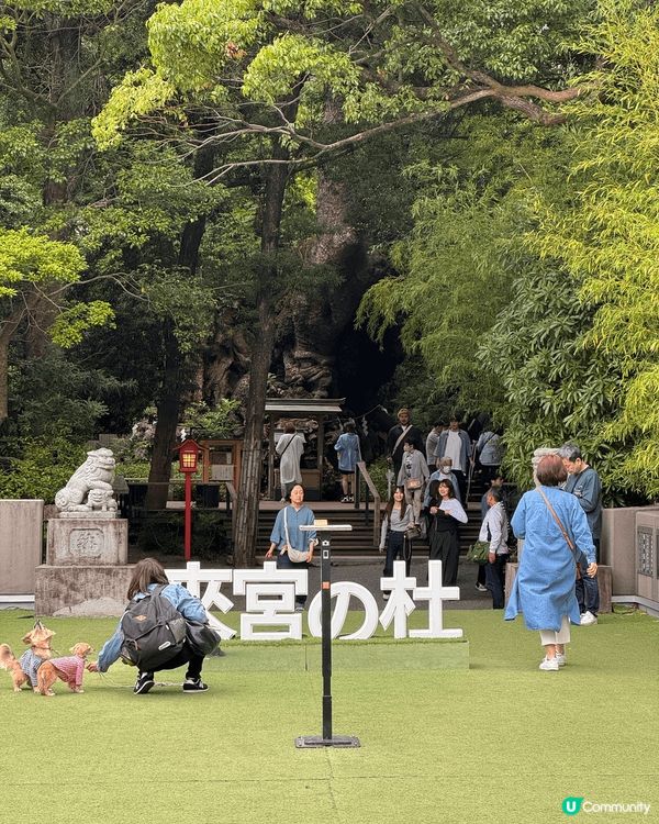 如果已經去過東京好多次，不妨去一吓近效嘅熱海，順道去《來宮神...