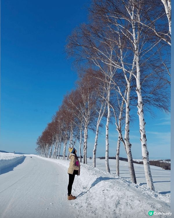 「那一年我愛上了北海道」