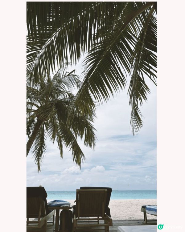 攝於馬爾代夫——好似幅畫咁靚嘅地方！島上有齊靚景美食，非常適...