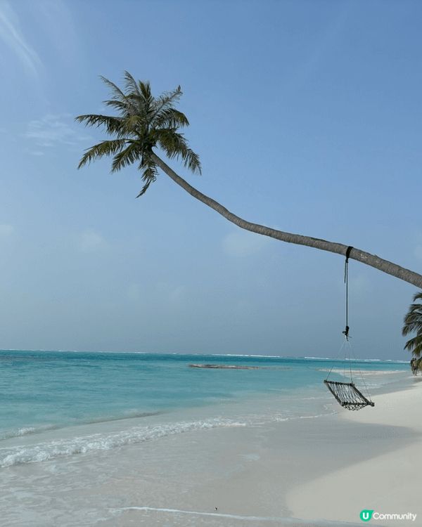 攝於馬爾代夫——好似幅畫咁靚嘅地方！島上有齊靚景美食，非常適...