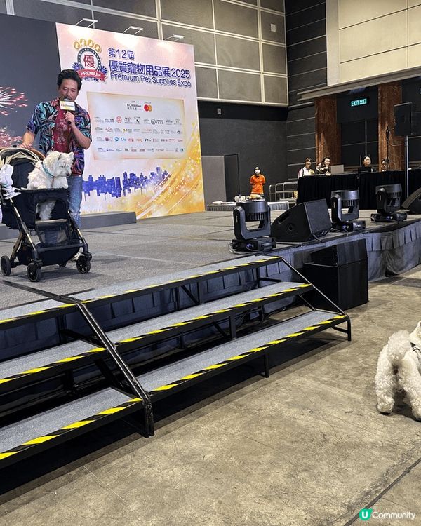 海洋公園探望熊貓姊弟，見到盈盈湊得得，兩母子喺度互動，家姐就...