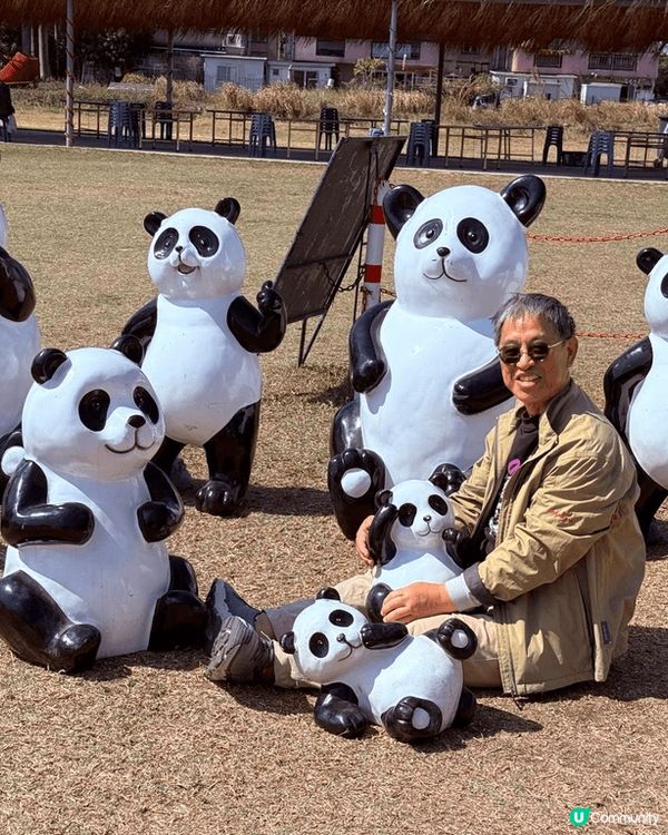 元朗八鄉的樹屋，整間屋被樹根包圍，很是有趣。行遠些便是人鄉鄉...