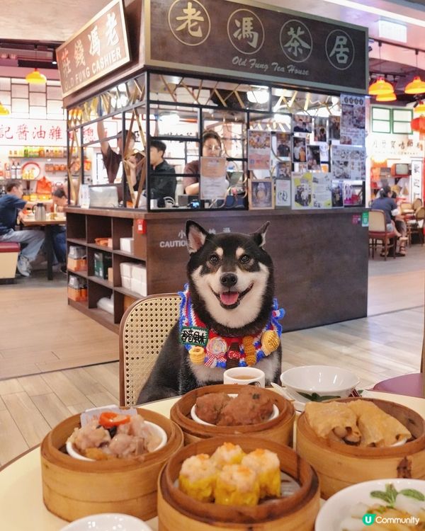 正呀！點心陪食最高CP值🤤！