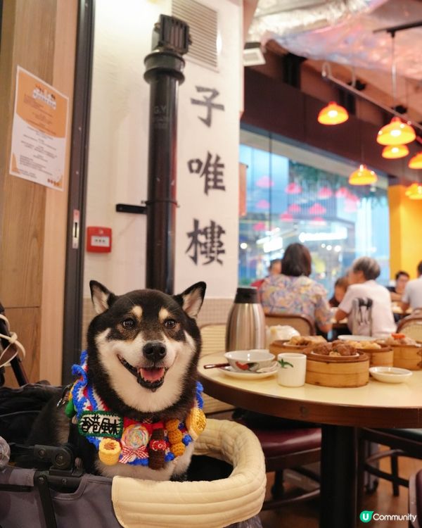 正呀！點心陪食最高CP值🤤！