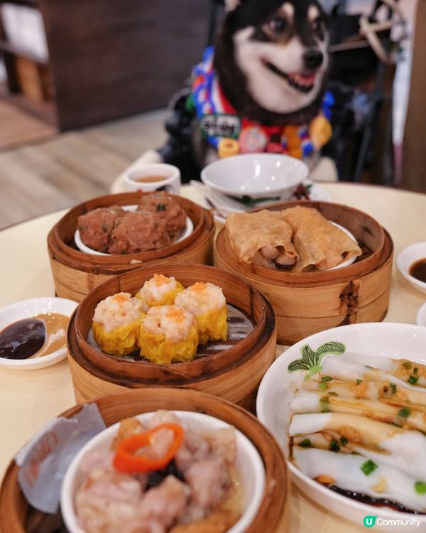 正呀！點心陪食最高CP值🤤！