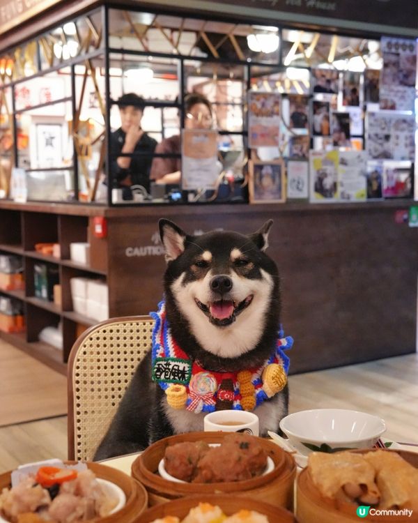 正呀！點心陪食最高CP值🤤！