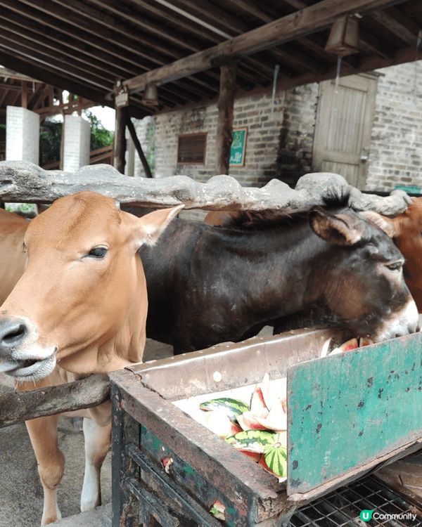 哗！今次同班friend去珠海御温泉，真係正到爆燈㗎！一入去...