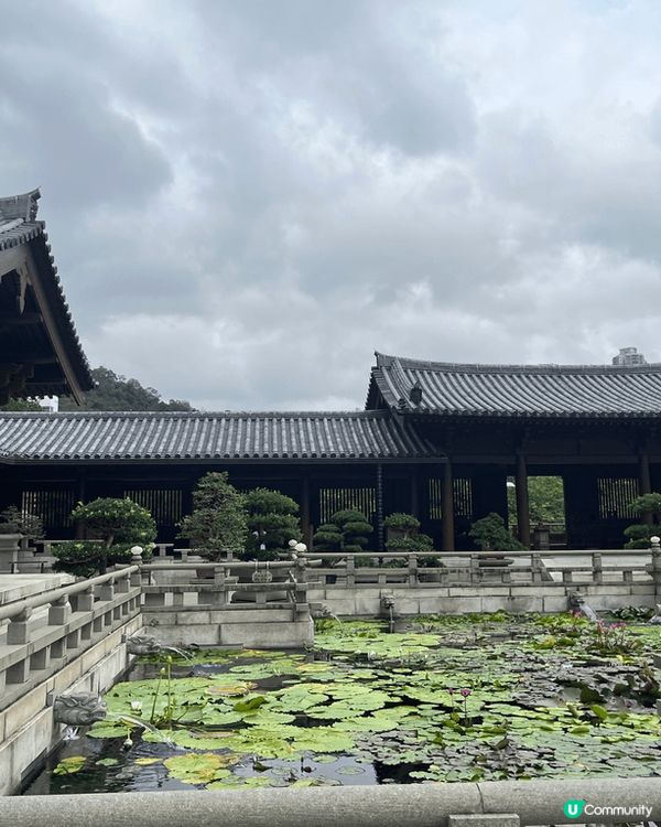位於鑽石山的南蓮園是一個美麗的避世之地，遠離香港的喧囂。南蓮...