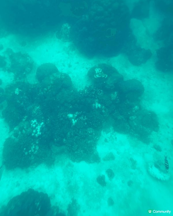 這趟布吉跳島之旅很值得！從芭東出發，我們搭船探訪了皮皮島、竹...