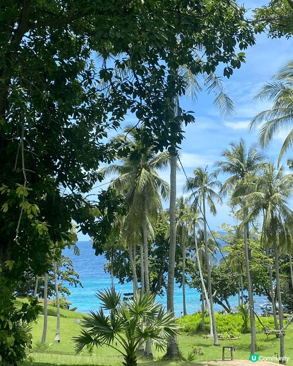 這趟布吉跳島之旅很值得！從芭東出發，我們搭船探訪了皮皮島、竹...