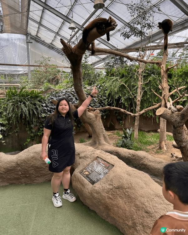 跟朋友及家人去不同地方吃喝玩樂，玩卡丁車，在日本動物園參觀，...