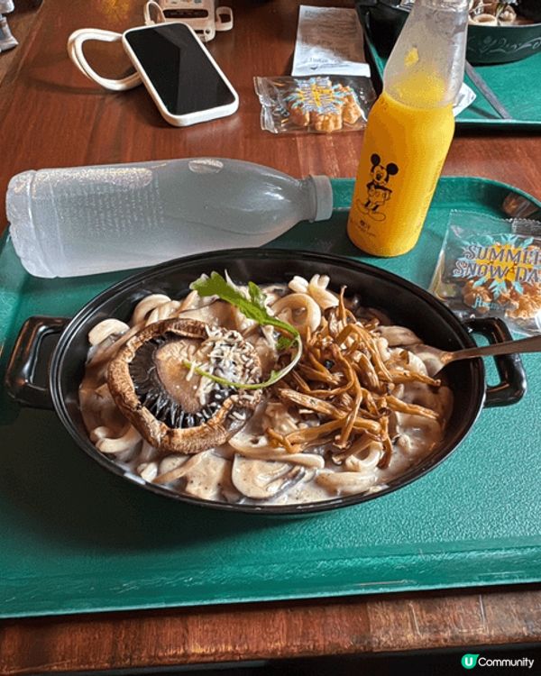 這是今年在香港迪士尼樂園拍攝的照片，今年是香港迪士尼樂園開幕...