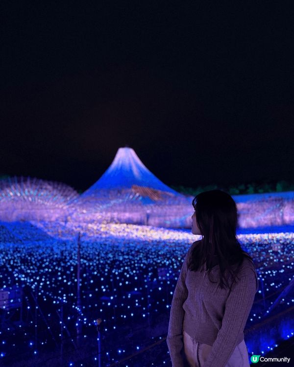 名花之里冬天先有燈光秀