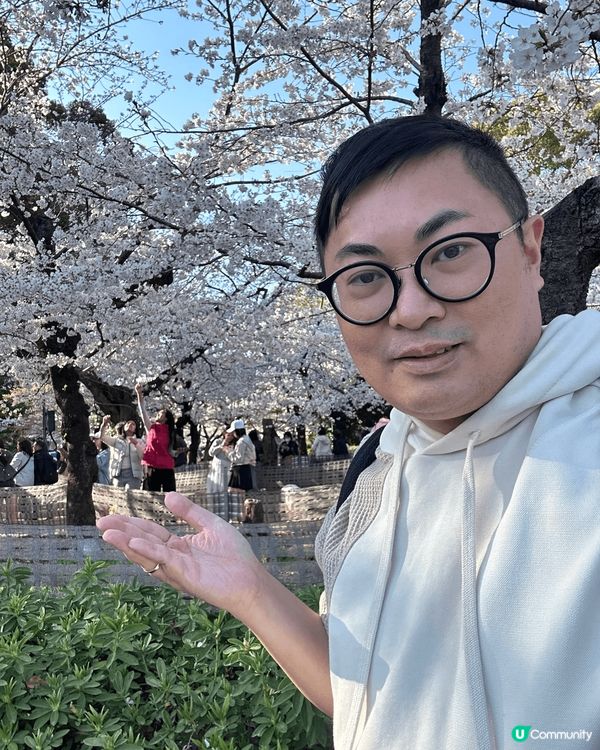 近來一次的名古屋之旅,有觀光,有美食,有樱花