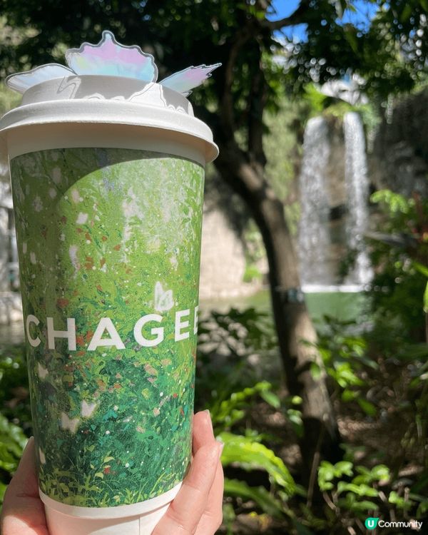 仲夏浮夢 Summer Dream下午茶是以CHAGEE新品...