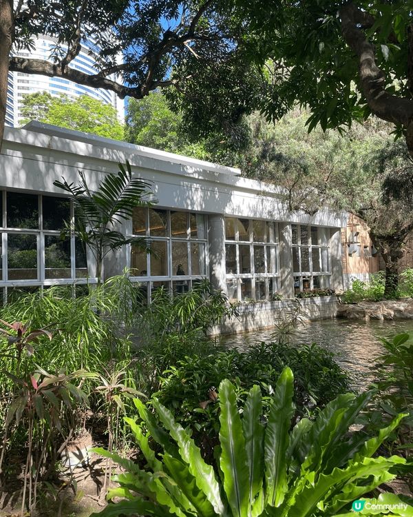 仲夏浮夢 Summer Dream下午茶是以CHAGEE新品...