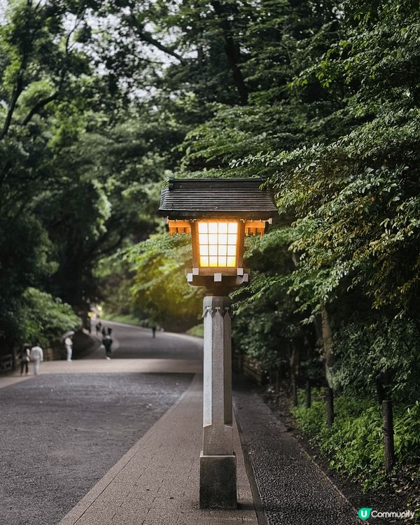 雨天下的明治神宮