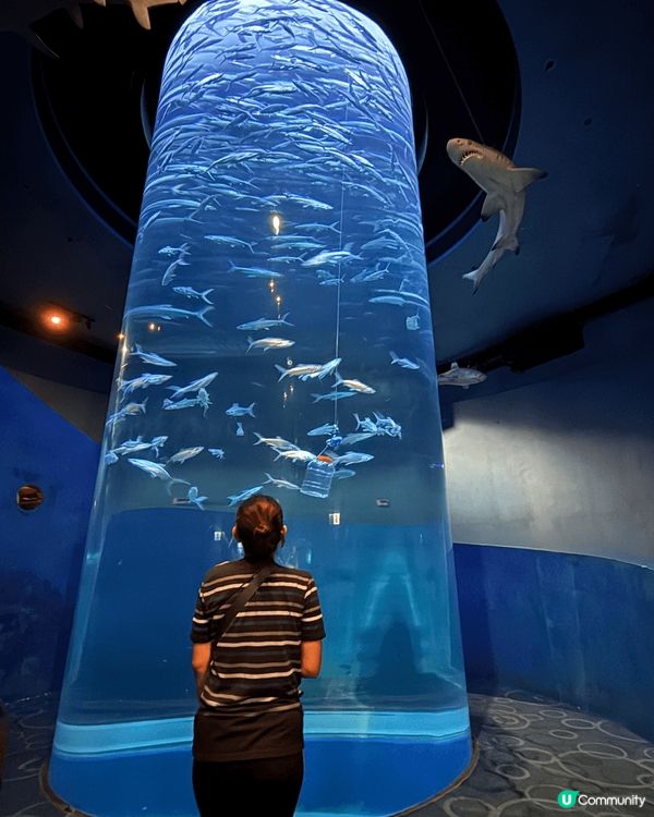 海洋公園既水族館，帶住家人去影相同打卡
