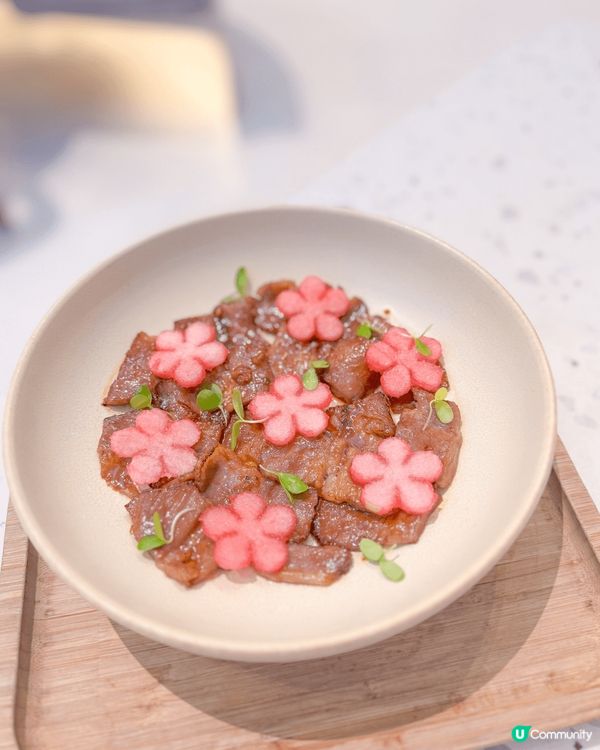 💐🌷🌹🪻🪷到訪這美麗的花花世界🌺🌸🌼🌻