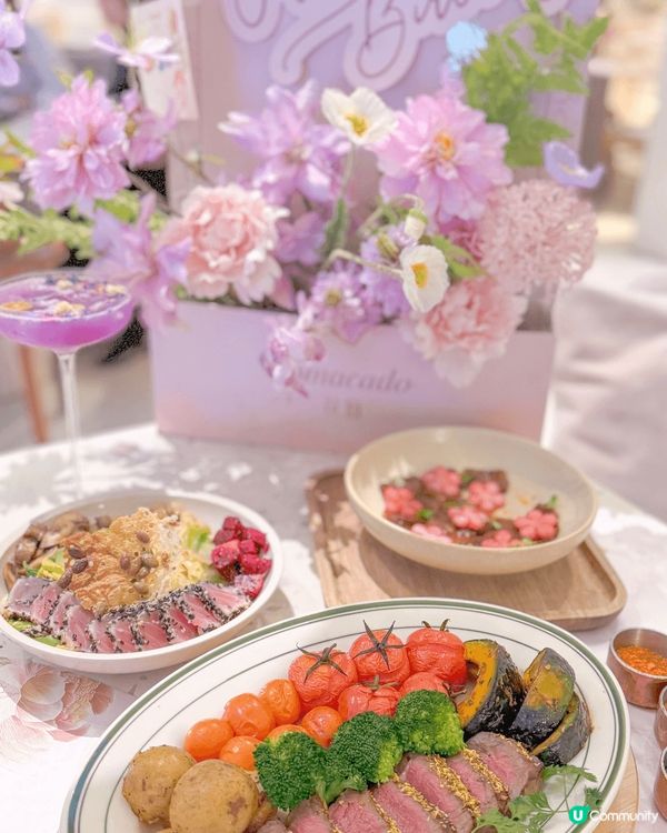 💐🌷🌹🪻🪷到訪這美麗的花花世界🌺🌸🌼🌻