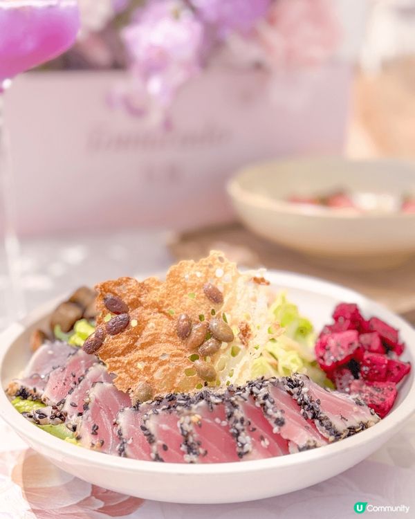 💐🌷🌹🪻🪷到訪這美麗的花花世界🌺🌸🌼🌻