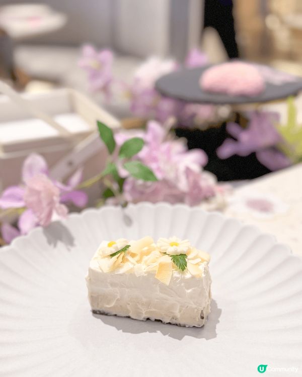 💐🌷🌹🪻🪷到訪這美麗的花花世界🌺🌸🌼🌻