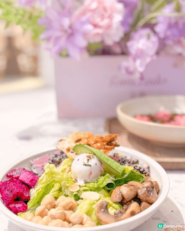 💐🌷🌹🪻🪷到訪這美麗的花花世界🌺🌸🌼🌻