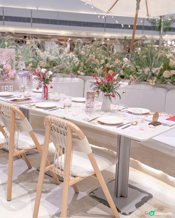 💐🌷🌹🪻🪷到訪這美麗的花花世界🌺🌸🌼🌻