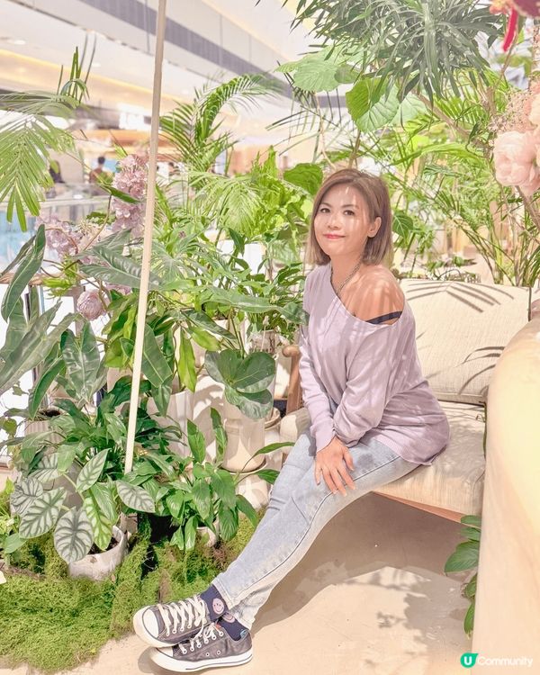 💐🌷🌹🪻🪷到訪這美麗的花花世界🌺🌸🌼🌻