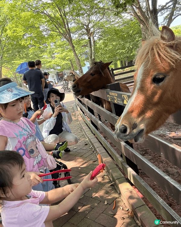 九州動物園是福岡的親子好去處。這裏可以乘坐叢林巴士進入猛獸區...