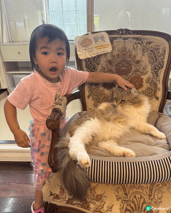 九州動物園是福岡的親子好去處。這裏可以乘坐叢林巴士進入猛獸區...