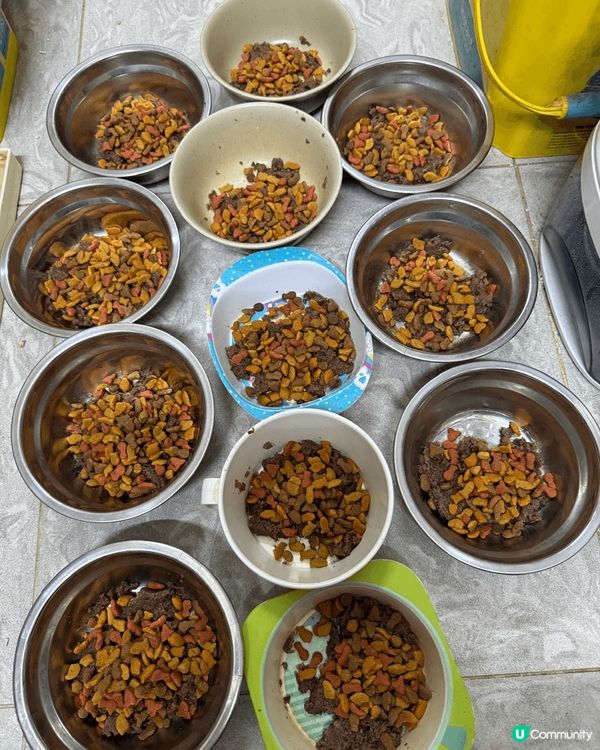 沒有最好的生活，只有更好的體驗。