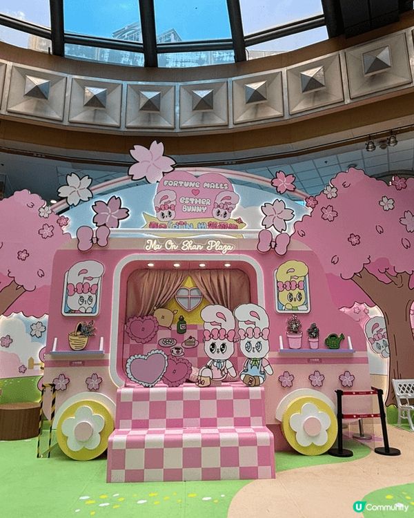 馬鞍山廣場粉紅繁花夢幻花園，以櫻花林及紫色的薰衣草圍着時尚有...